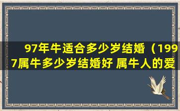 97年牛适合多少岁结婚（1997属牛多少岁结婚好 属牛人的爱情）